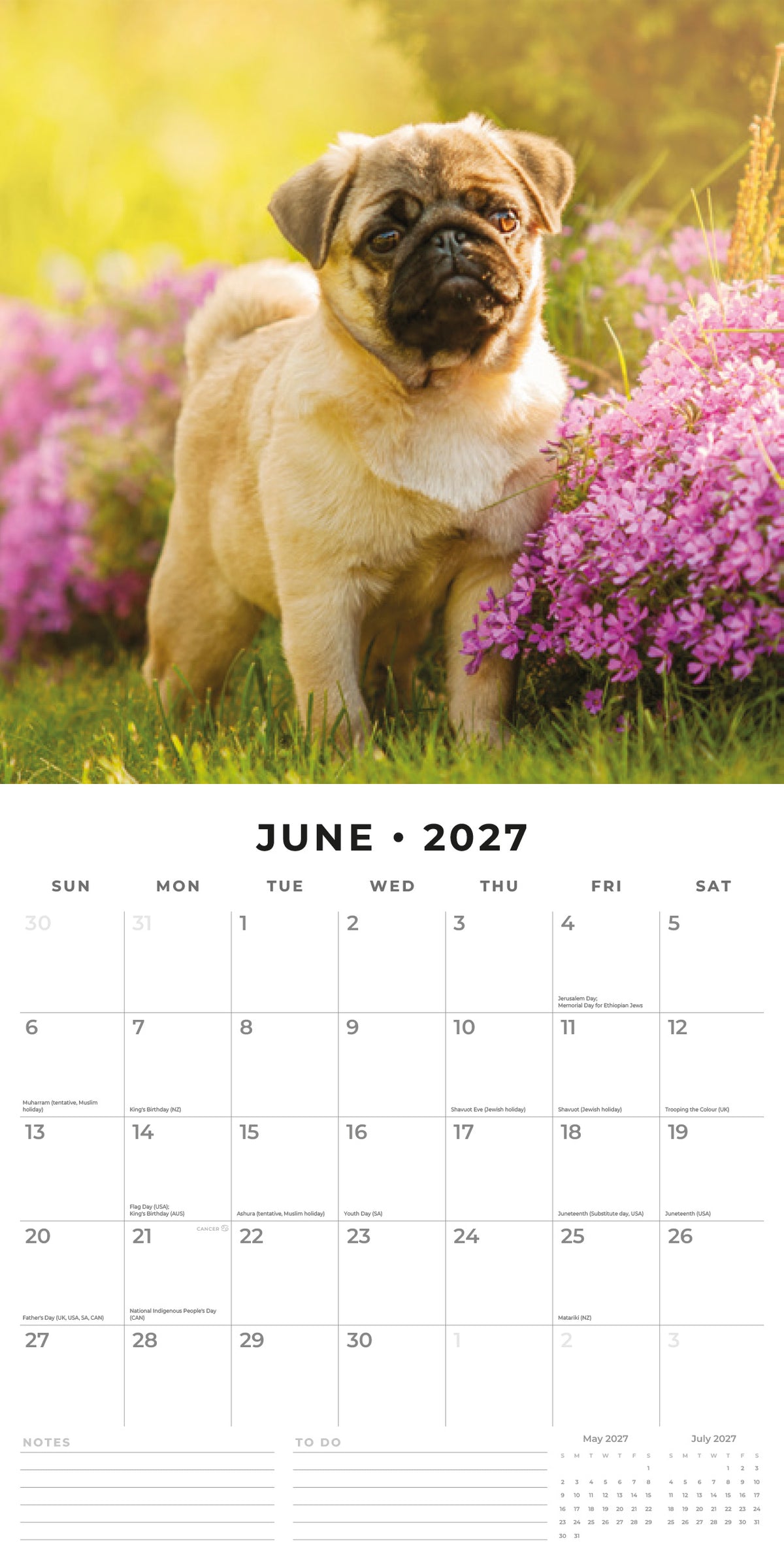 Pugs 2027 Square Wall Calendar
