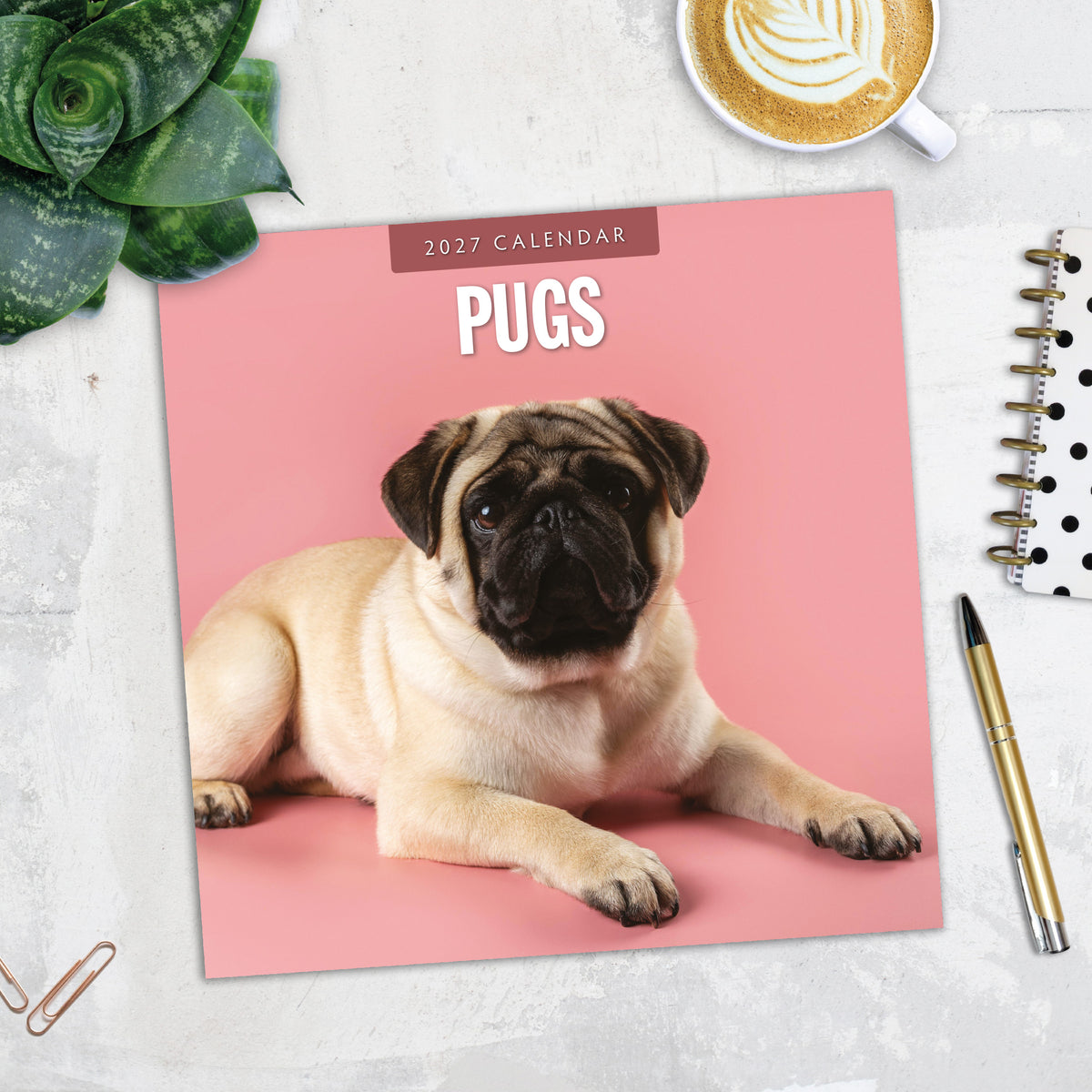 Pugs 2027 Square Wall Calendar