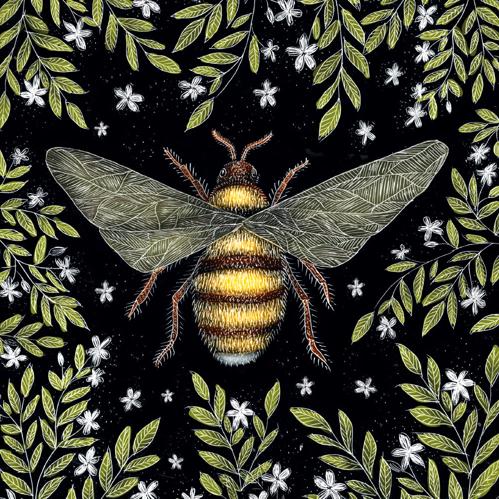 Catherine Rowe - Honey Bee & Moths Square Set of 8 Art Notecards Wallet - Bee's Emporium