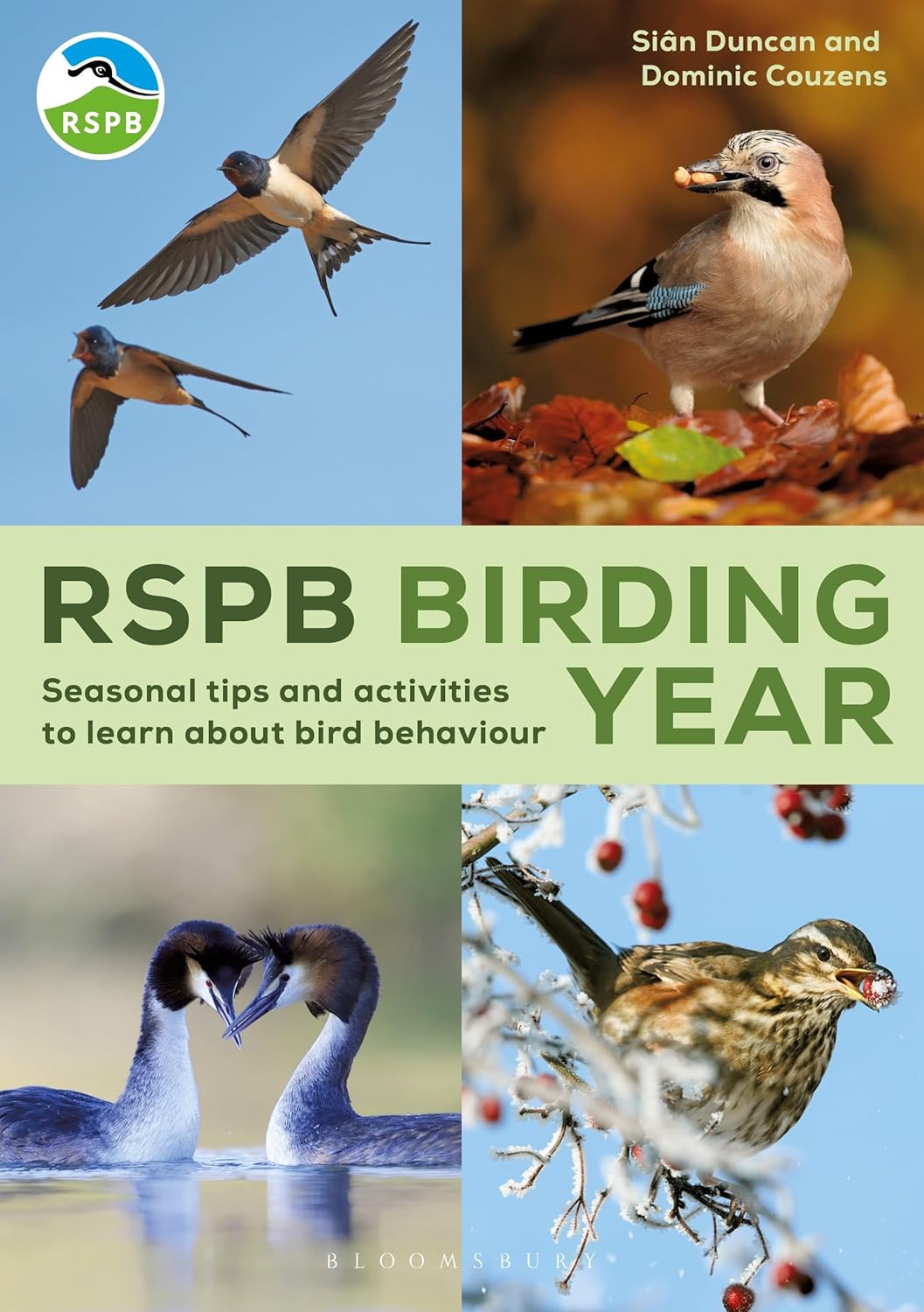 RSPB Birding Year: Seasonal tips and activities to learn about bird behaviour (Paperback)