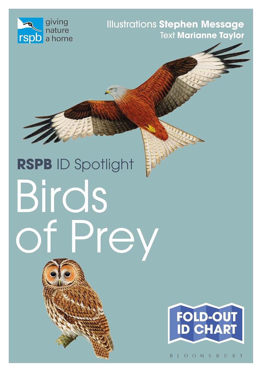RSPB ID Spotlight - Birds of Prey (Fold-out ID chart) by Marianne Taylor (Paperback) - Bee's Emporium