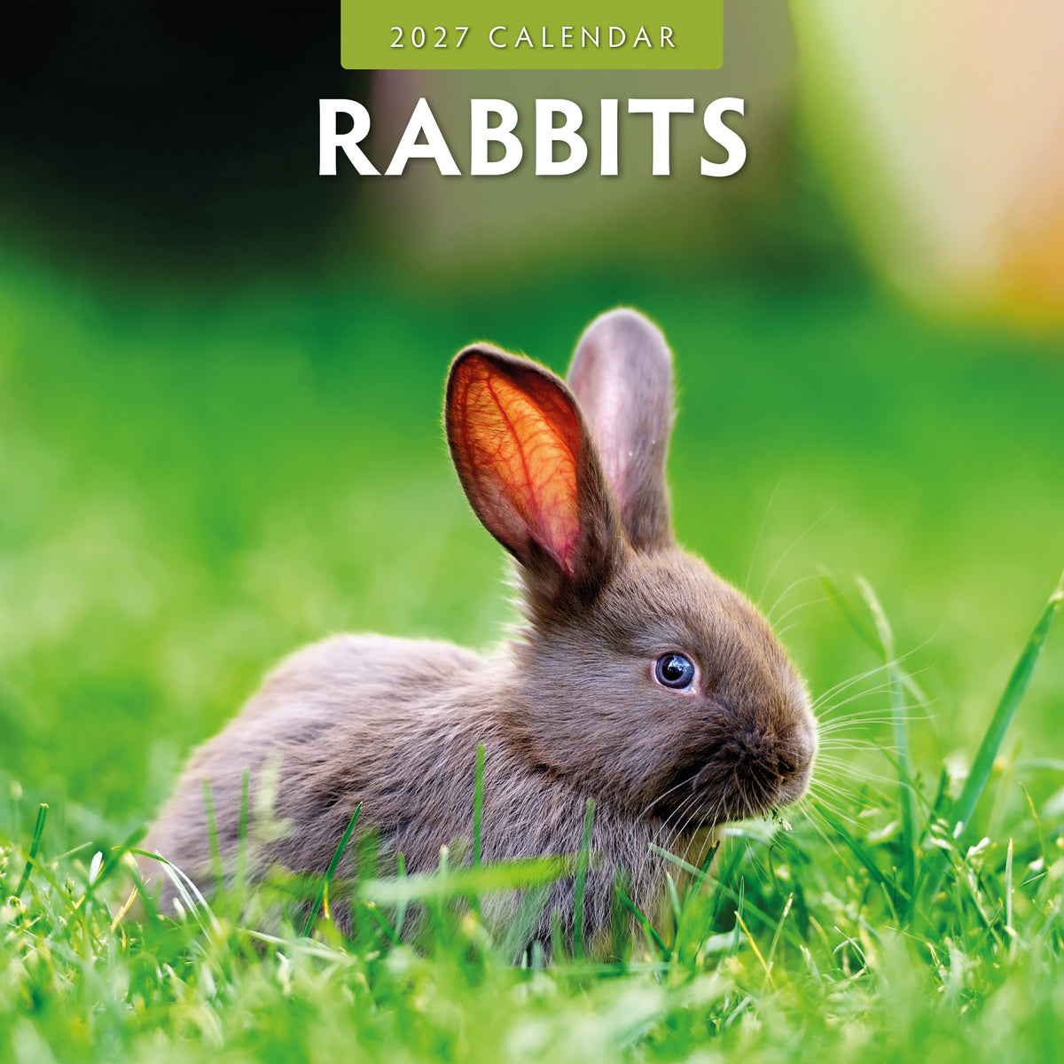 Rabbits 2027 Square Wall Calendar