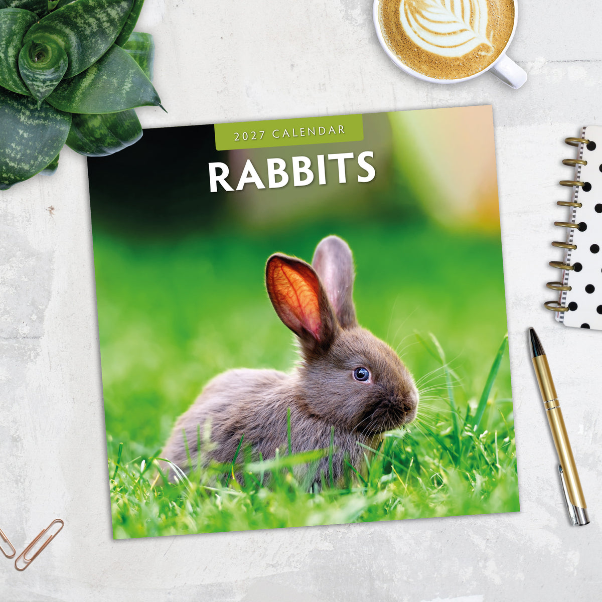 Rabbits 2027 Square Wall Calendar