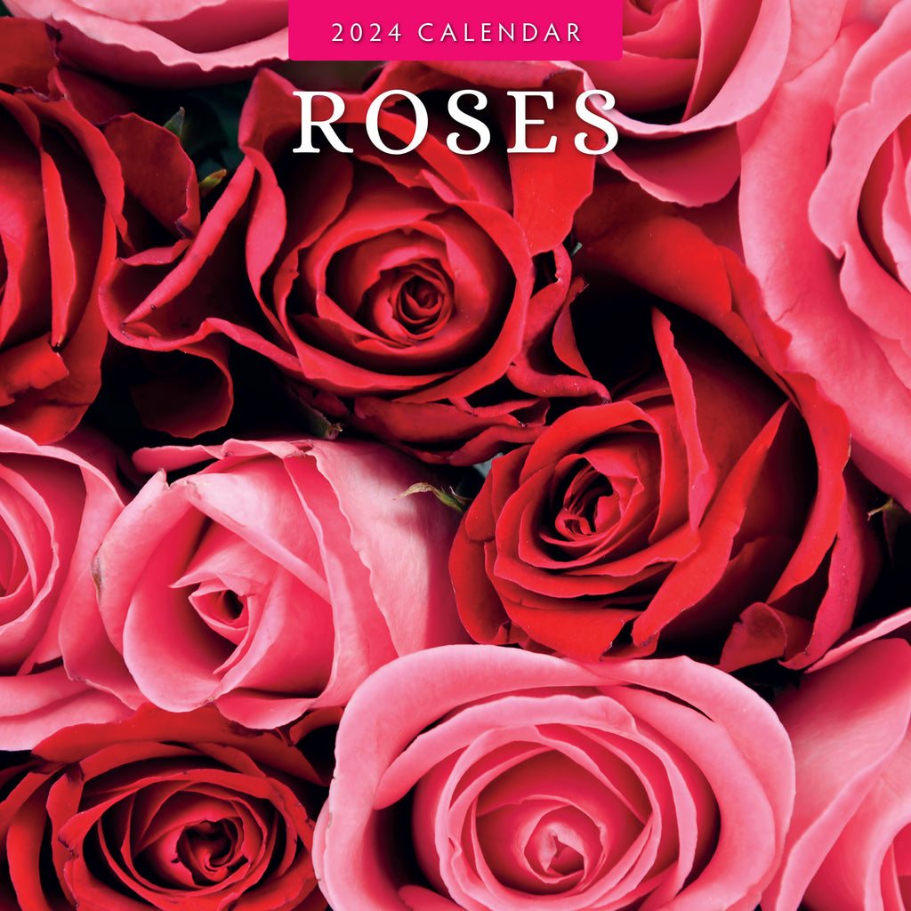 2024 Roses Wall Calendar