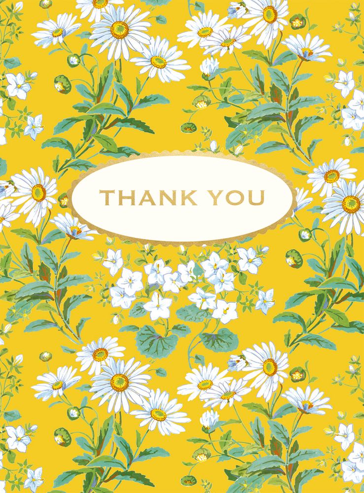 V&A Yellow Daisies 8 Thank You Notecards & Envelopes - Bee's Emporium