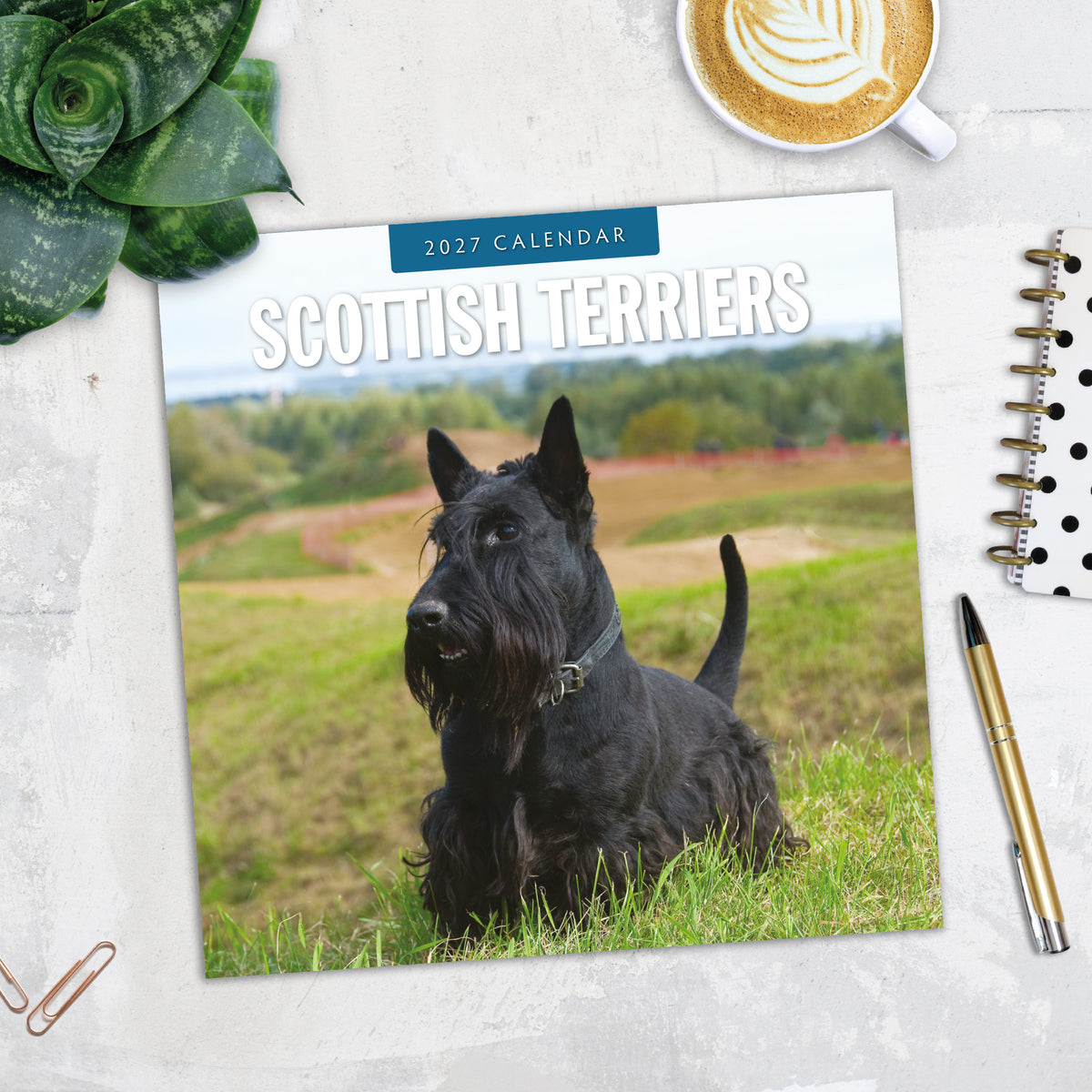 Scottish Terriers 2027 Square Wall Calendar
