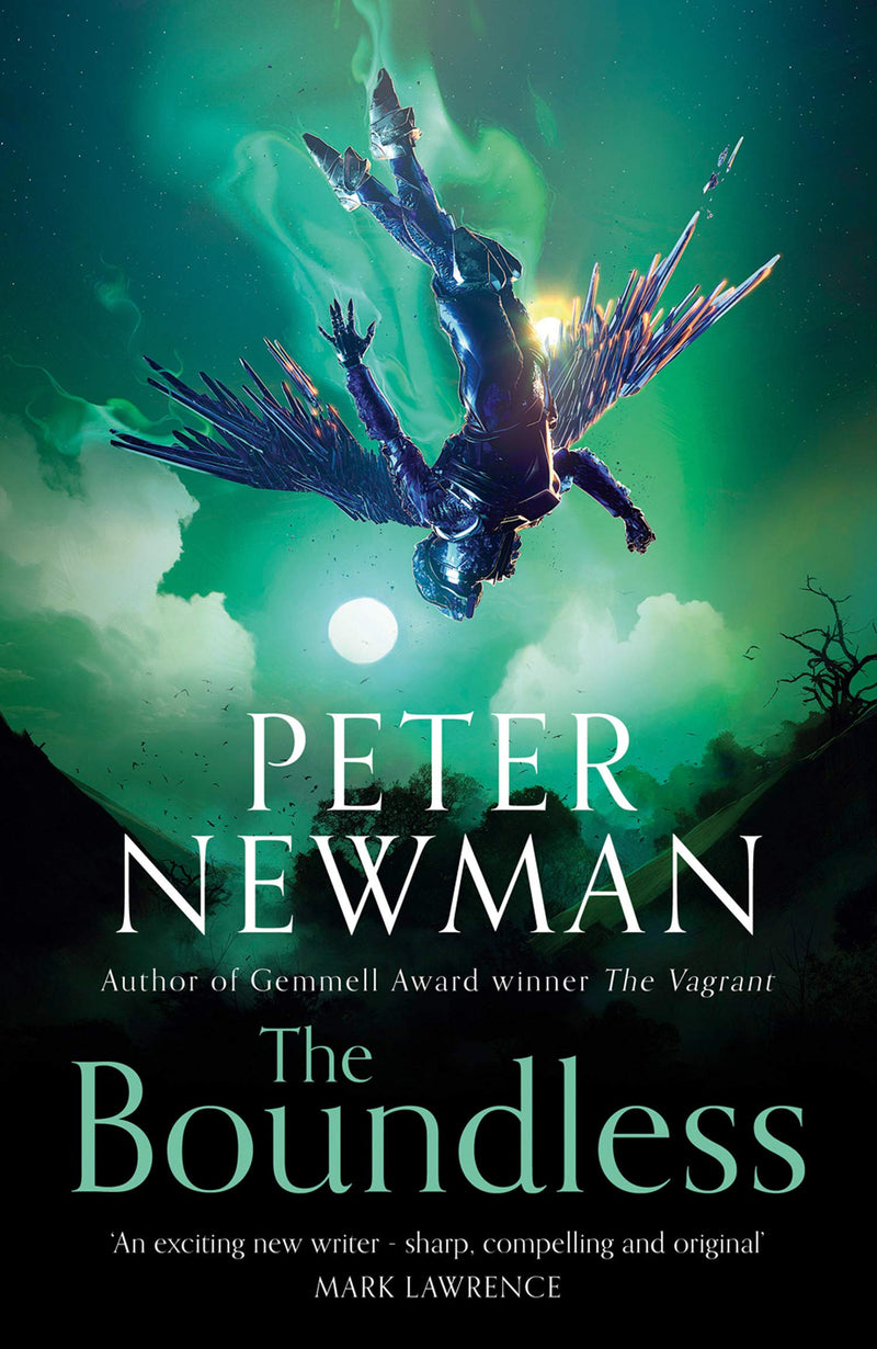 The Boundless by Peter Newman (Paperback)