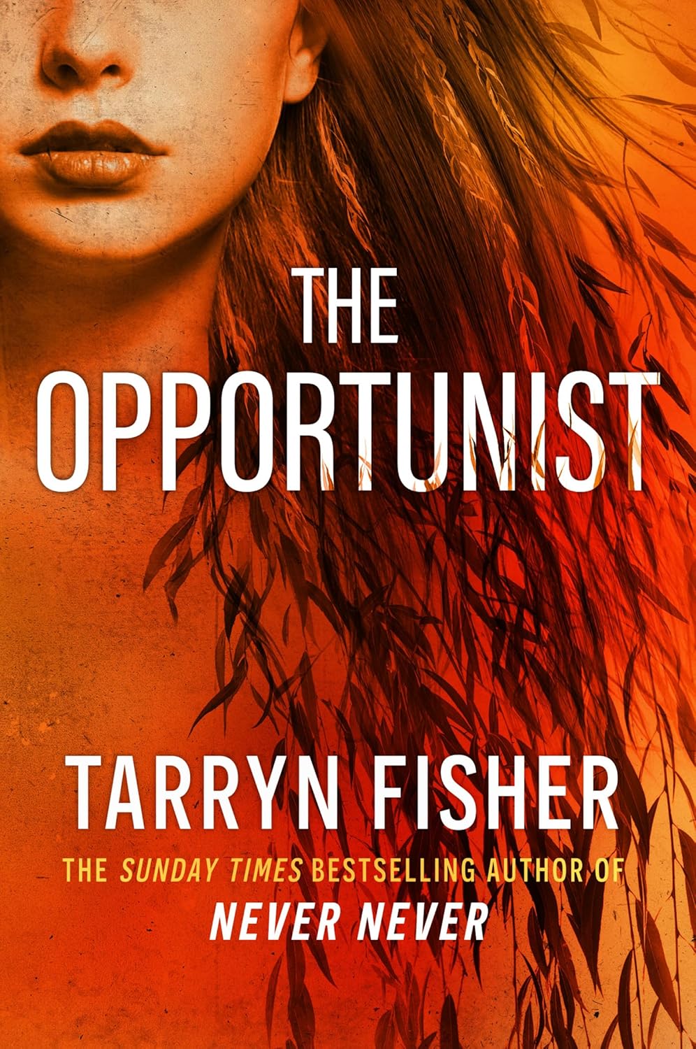 The Opportunist (Book 1: Love Me with Lies) by Tarryn Fisher (Paperback)