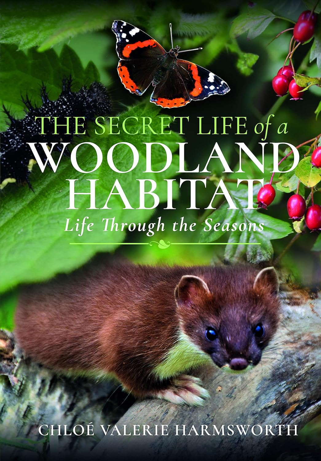 The Secret Life of a Woodland Habitat: Life Through the Seasons (Hardcover) - Bee's Emporium