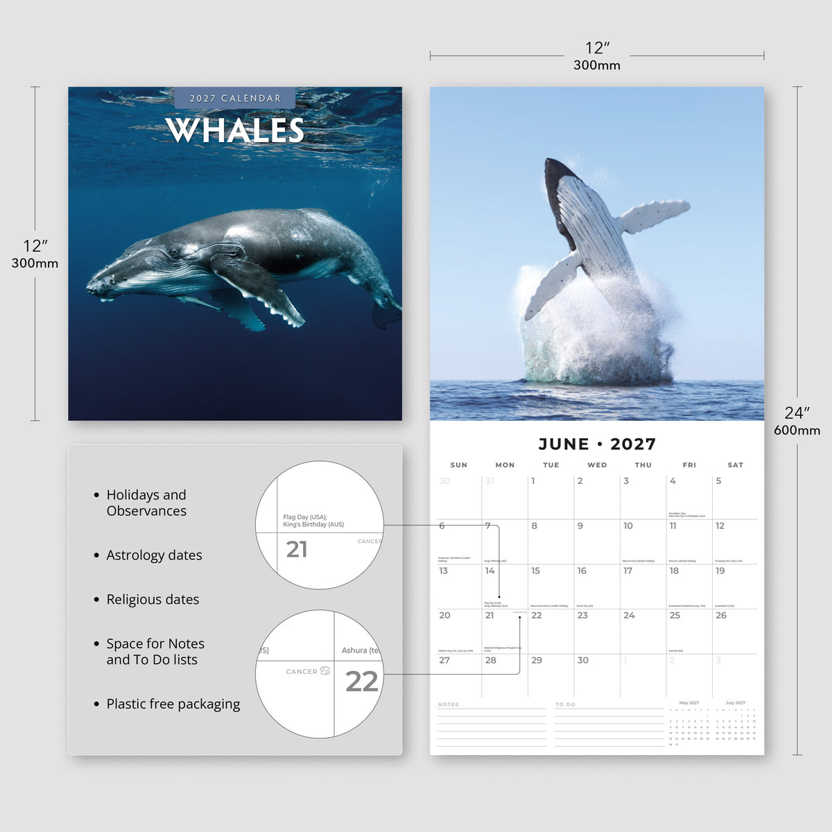 Whales 2027 Square Wall Calendar
