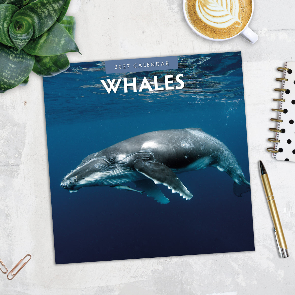 Whales 2027 Square Wall Calendar