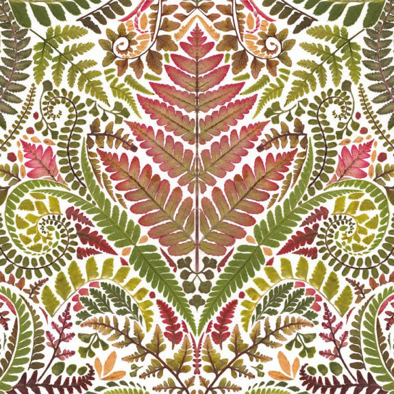 Wild Press Prints 8 Square Notecards Wallet - Bee's Emporium