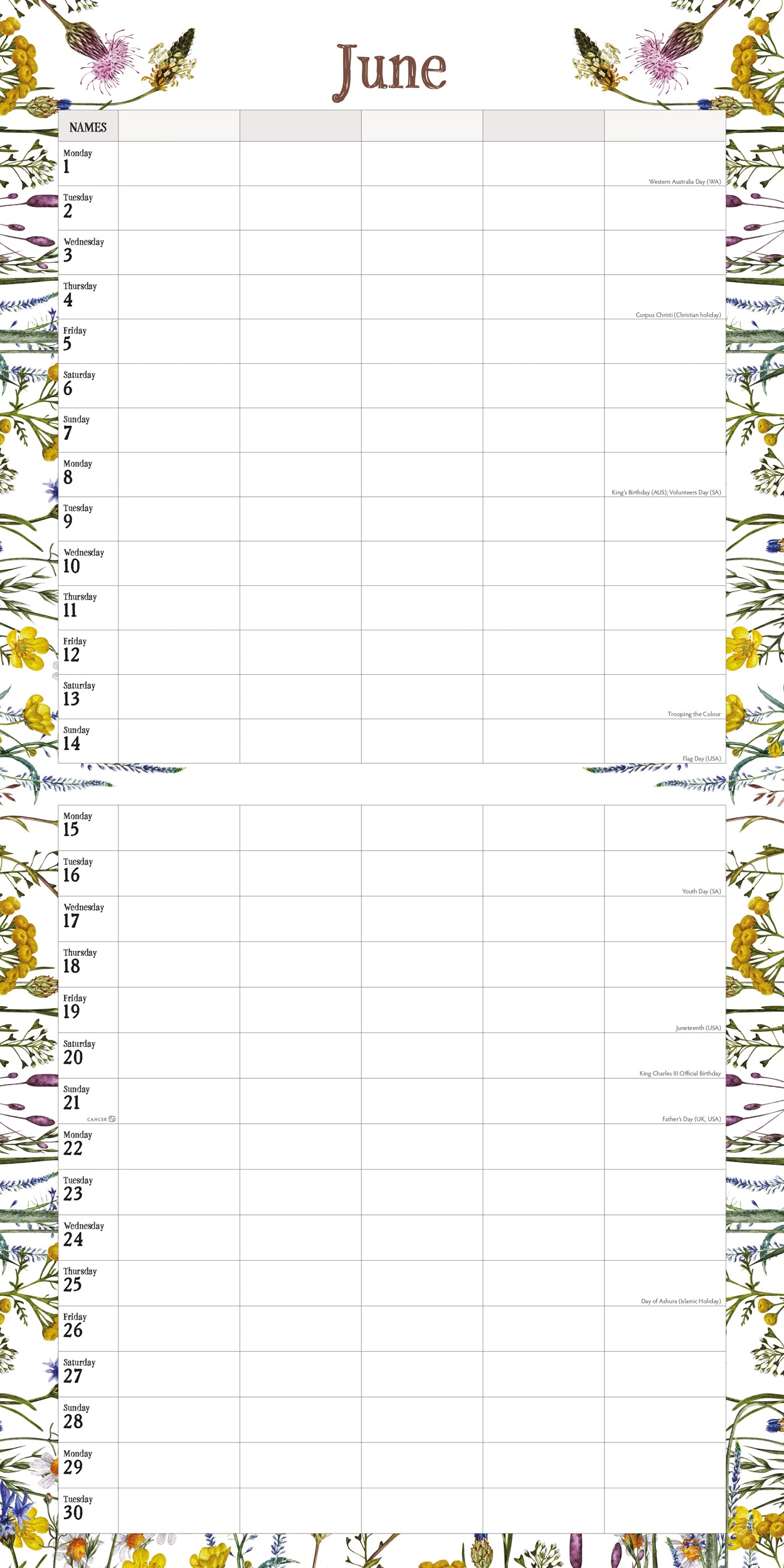 Wildflowers Illustrated Family Organiser - 2026 Square Wall Calendar