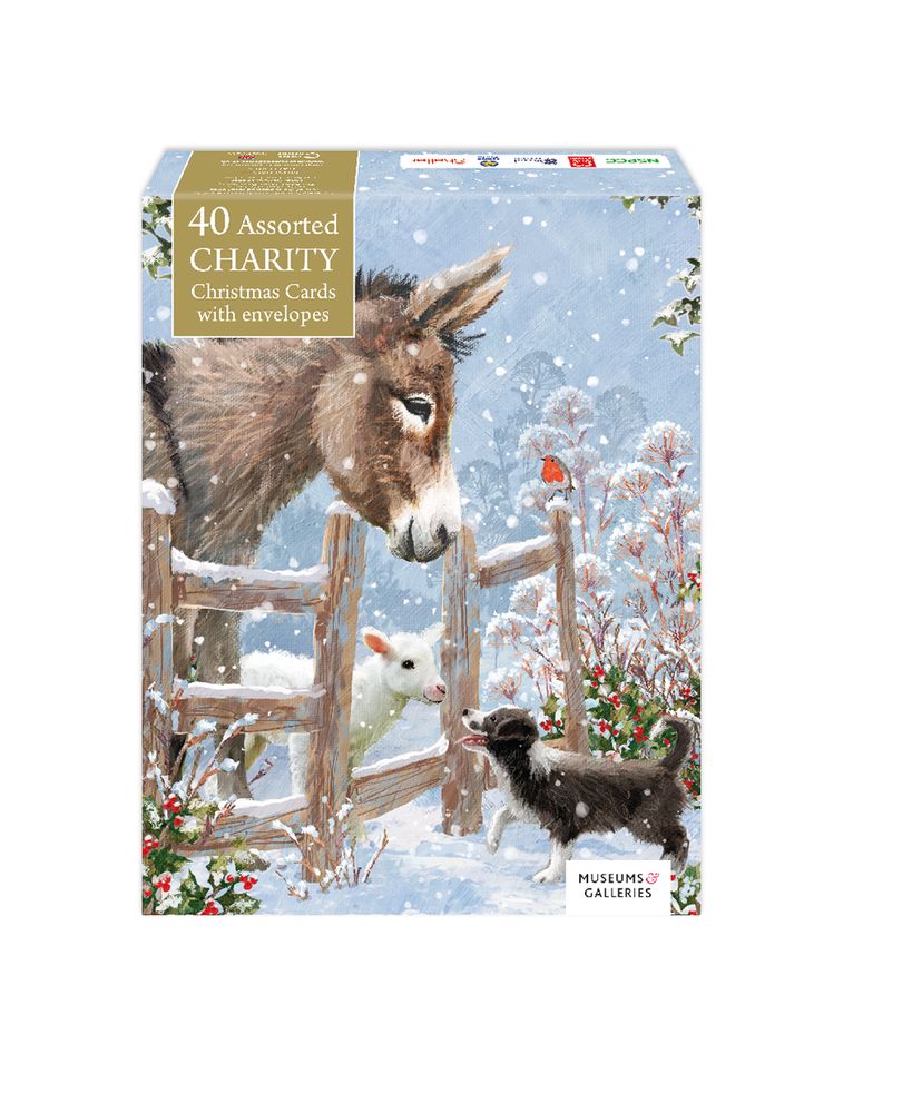 Box of 40 Assorted Charity Christmas Cards with Envelopes