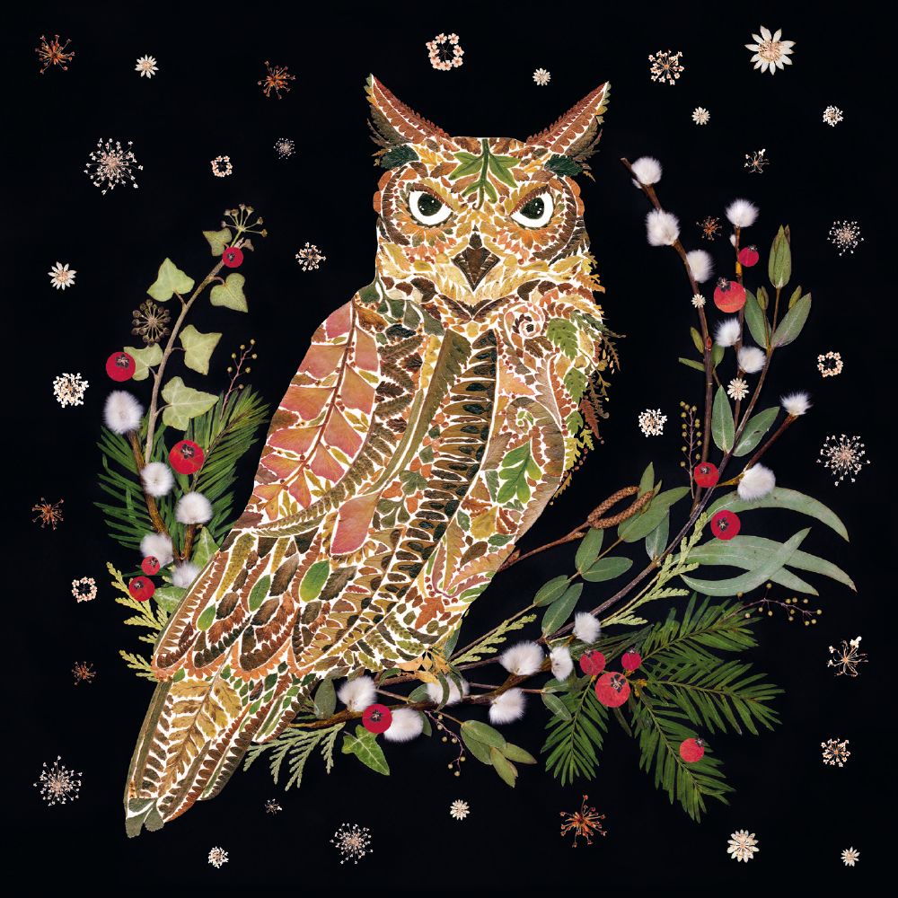 Wild Press Wild Wreaths by Helen Ahpornsiri Box of 20 Christmas Charity Cards - Bee's Emporium