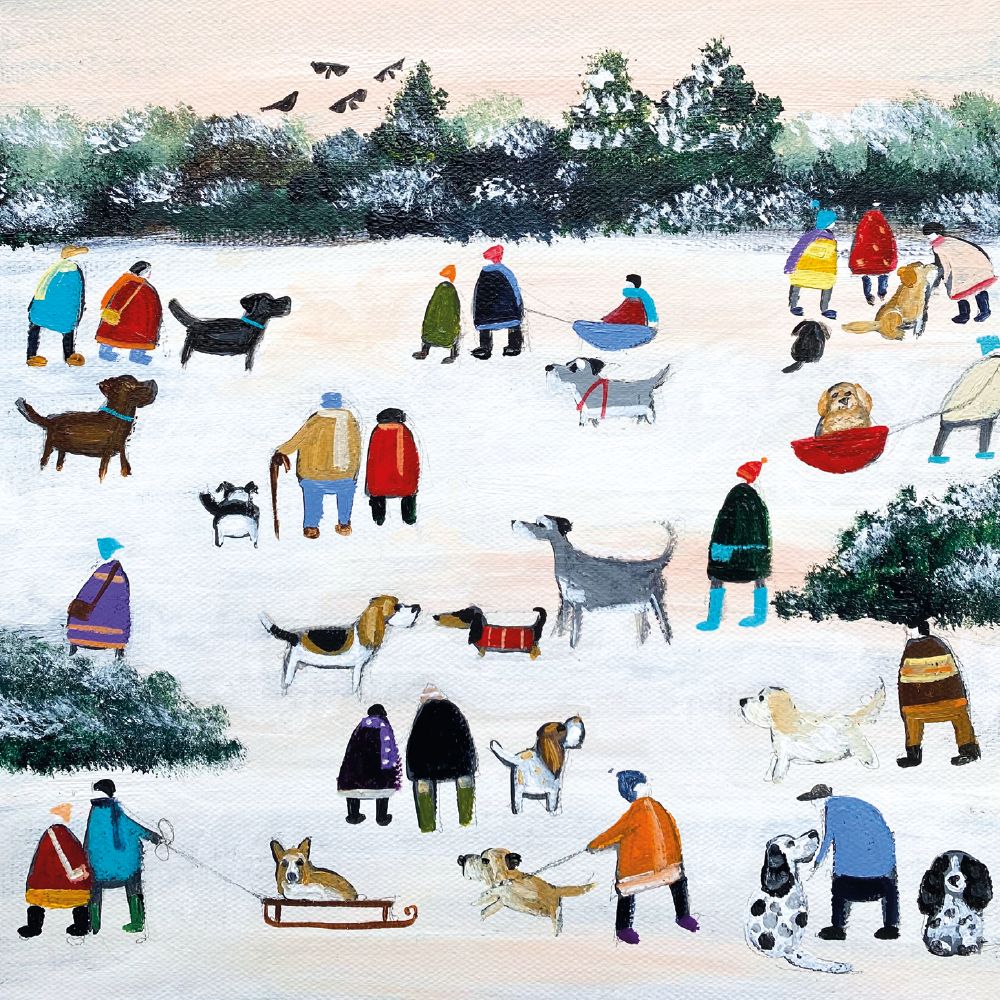 Christmas Companions Box of 20 Christmas Charity Cards - Bee's Emporium