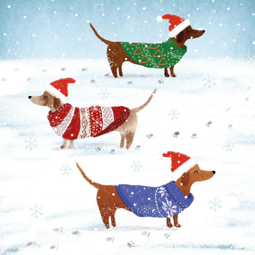 Christmas Companions Box of 20 Christmas Charity Cards - Bee's Emporium