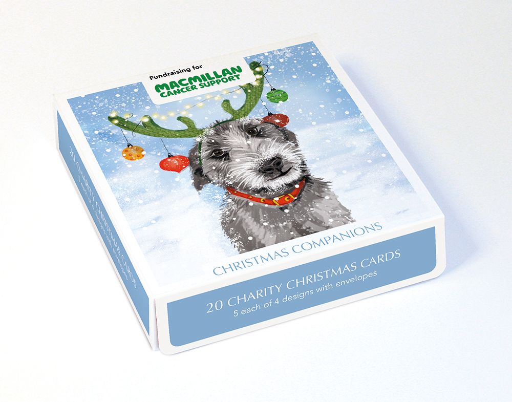 Christmas Companions Box of 20 Christmas Charity Cards - Bee's Emporium