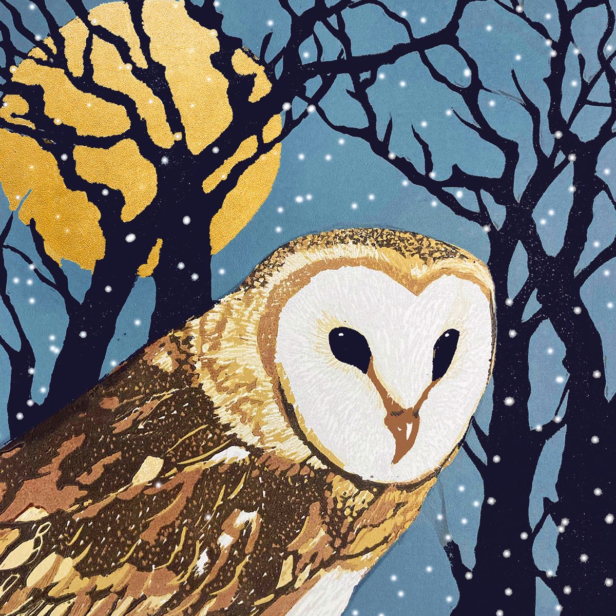Moonlit Bird Prints by Sue Welfare Box of 12 Christmas Cards