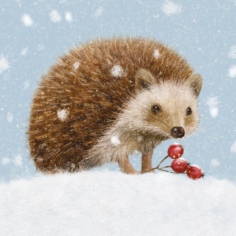 Little Hedgehog by Roy Thompson Pack of 8 Christmas Cards