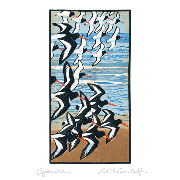 Oyster Catchers by Robert Greenhalf Blank Greeting Card with Envelope - Bee's Emporium