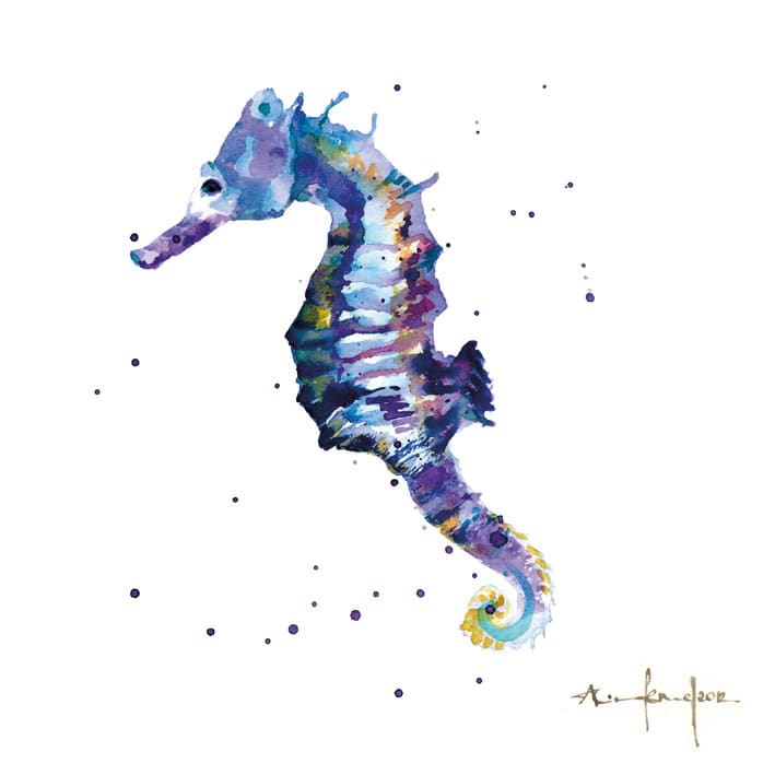 Alison's Ark - Purple Majesty Seahorse Blank Greeting Card with Envelope - Bee's Emporium