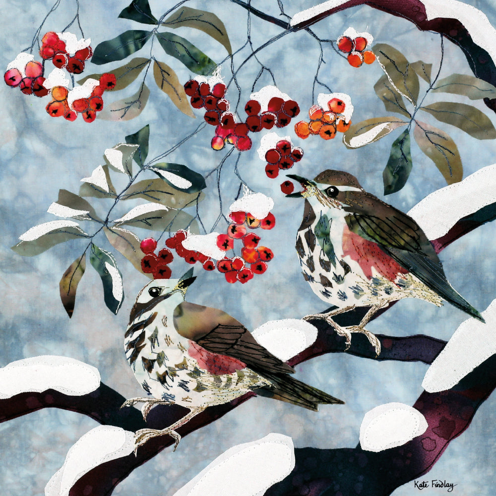 Frosty Feather by Kate Findlay Box of 20 Christmas Cards - Bee's Emporium