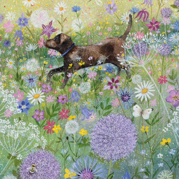 In the Garden by Lucy Grossmith 8 Square Notecards Wallet - Bee's Emporium