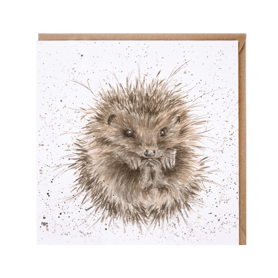 The Country Set - 'Awakening' Hedgehog Blank Greeting Card with Envelope - Bee's Emporium