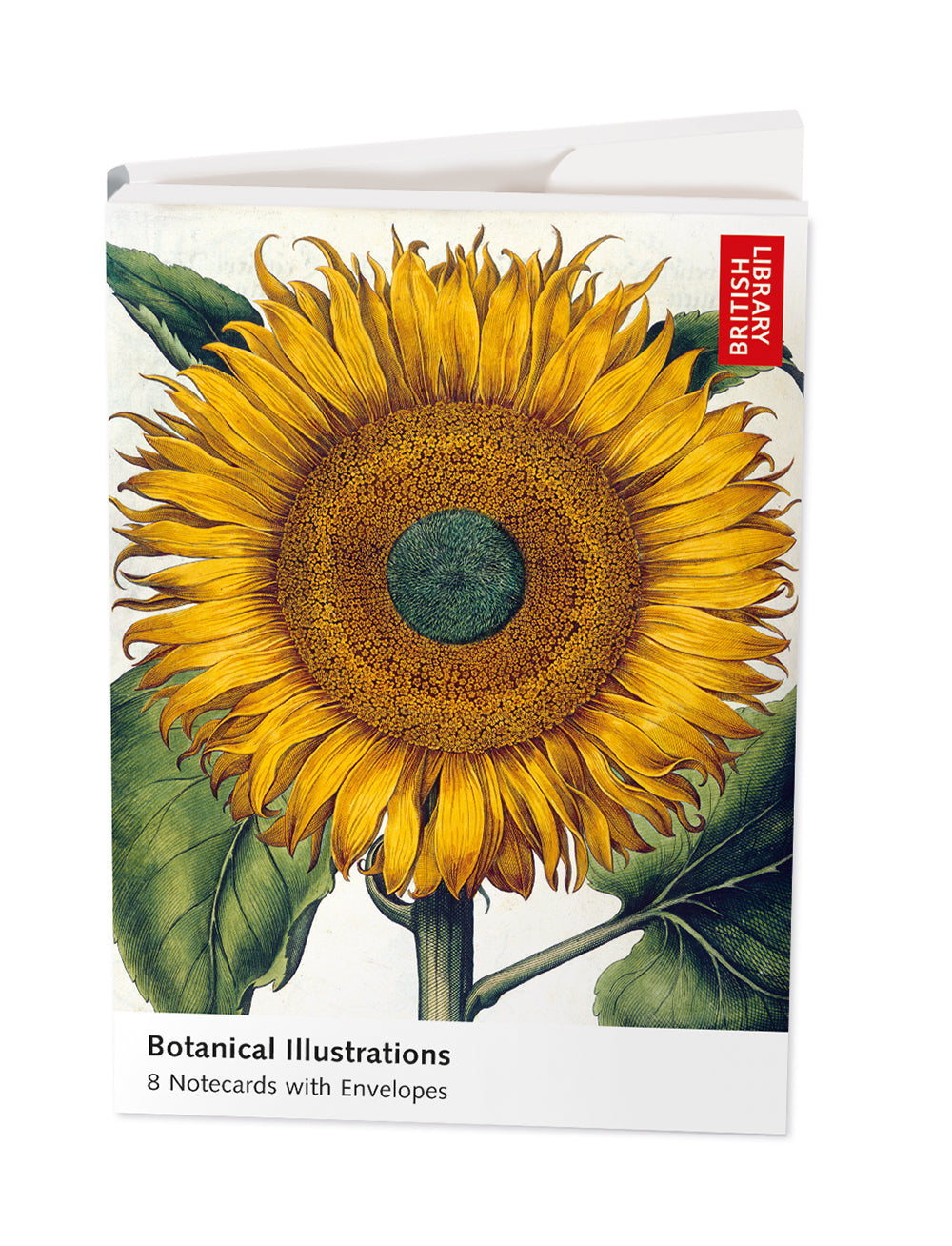 British Library - Botanical Illustrations 8 Rectangle Notecards Wallet - Bee's Emporium