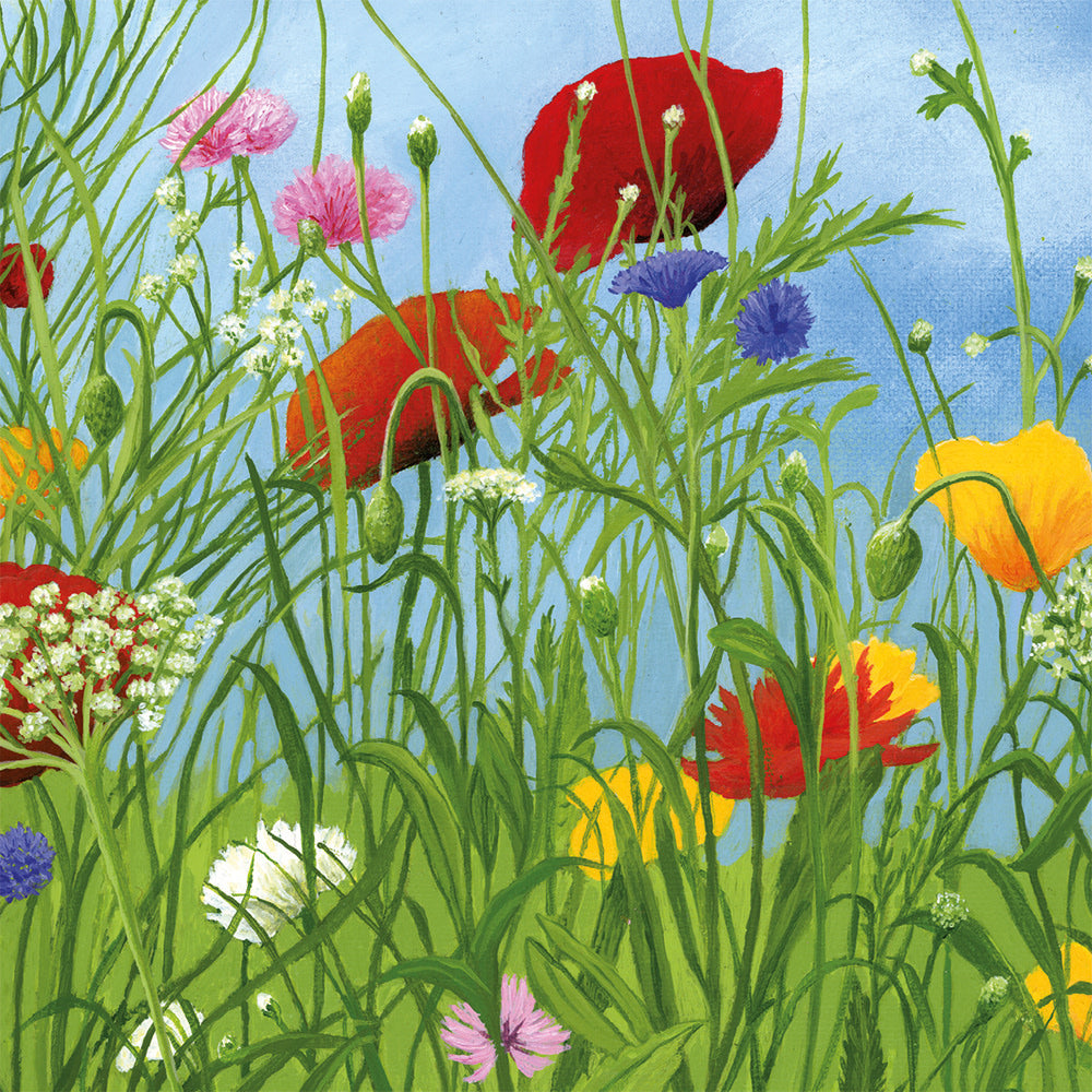 Wild Flower Garden by Josephine Simon Square Set of 8 Notecards Wallet - Bee's Emporium