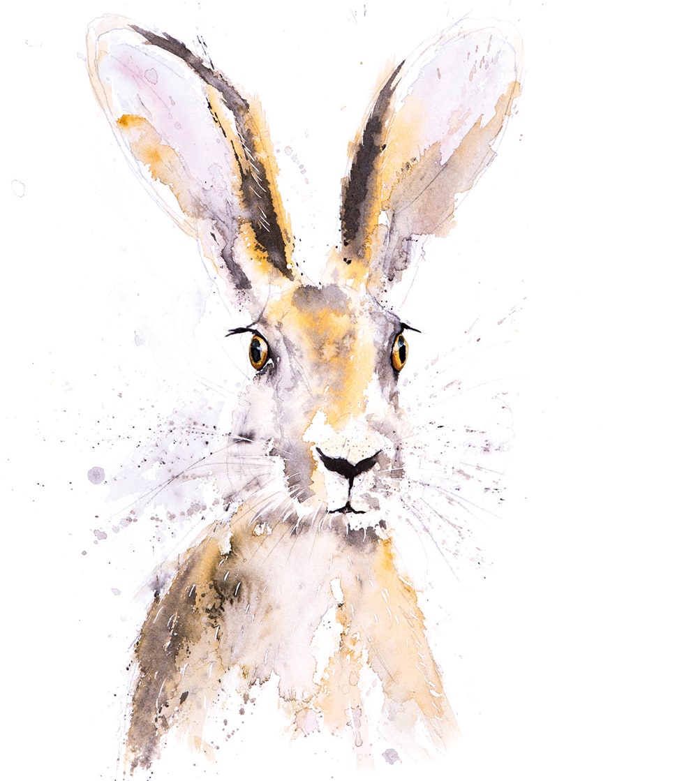 Watercolour Animals by Syman Kaye 8 Square Notecards Wallet - Bee's Emporium