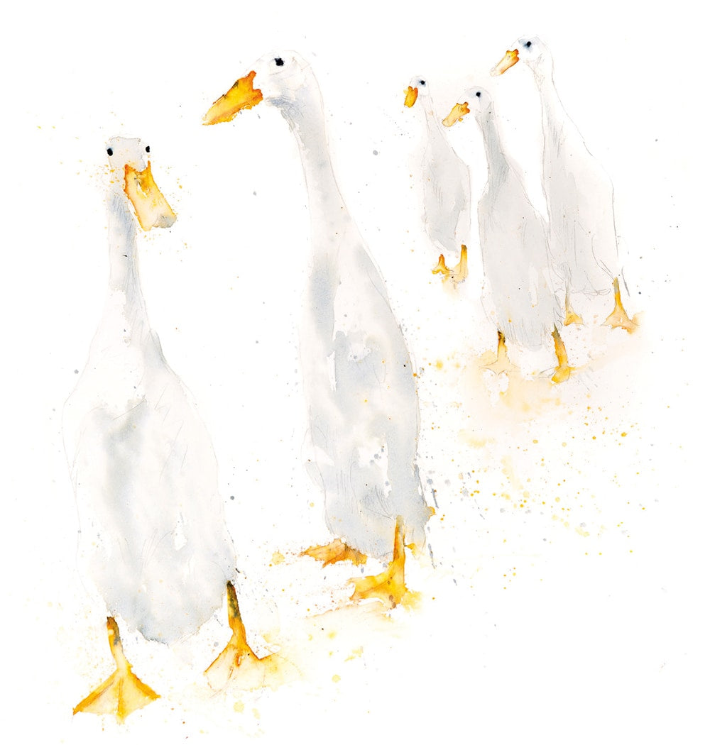 Watercolour Animals by Syman Kaye 8 Square Notecards Wallet - Bee's Emporium