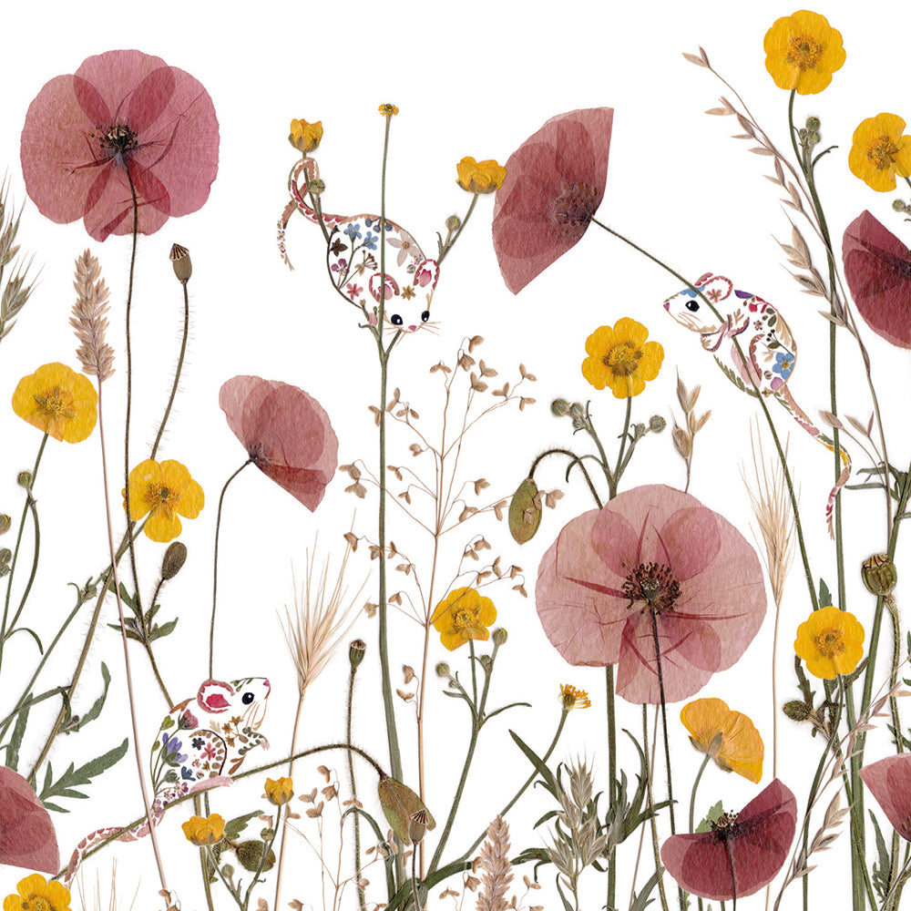 Wild Press Hedgerows by Helen Ahpornsiri 8 Square Notecards Wallet - Bee's Emporium