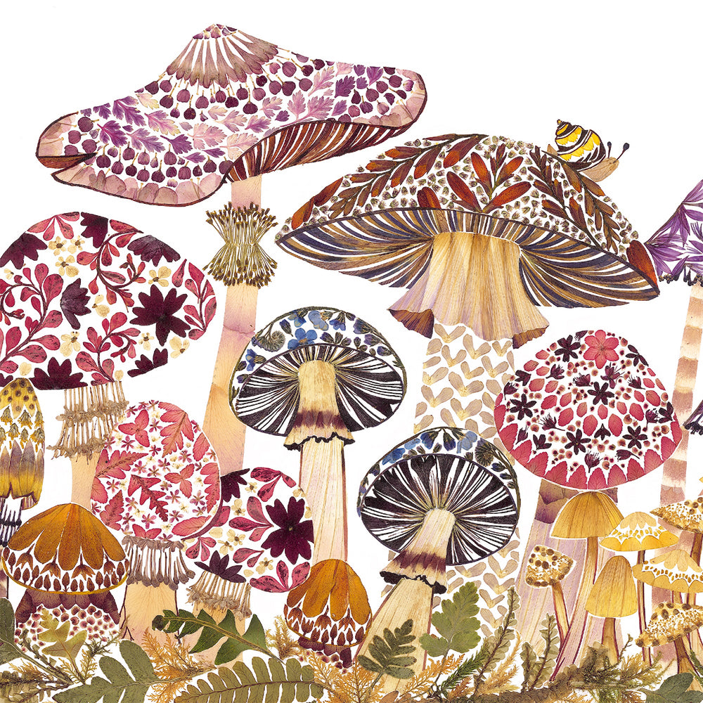 Wild Press by Helen Ahpornsiri Box of 20 Notecards with Envelopes - Bee's Emporium