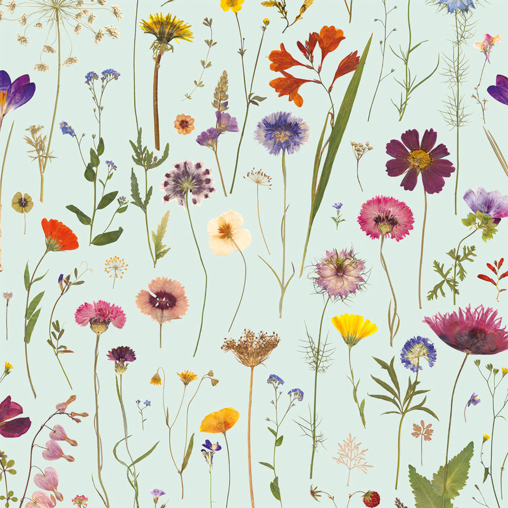 Wild Press by Helen Ahpornsiri Box of 20 Notecards with Envelopes - Bee's Emporium