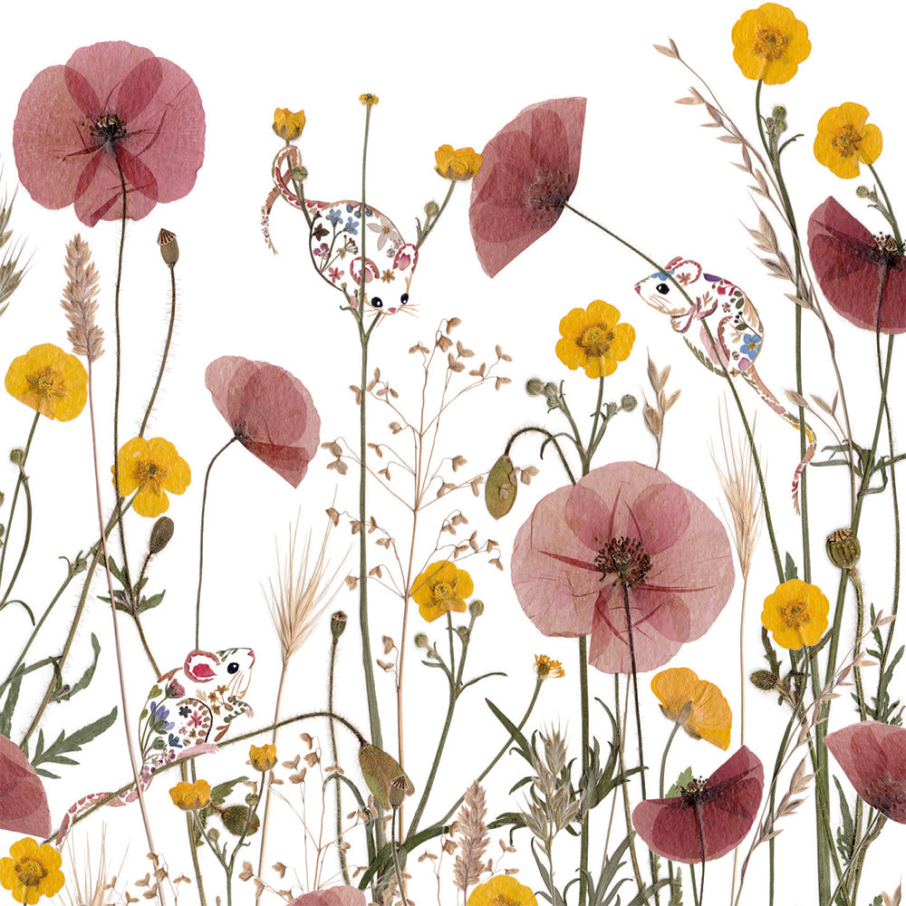 Wild Press by Helen Ahpornsiri Box of 20 Notecards with Envelopes - Bee's Emporium
