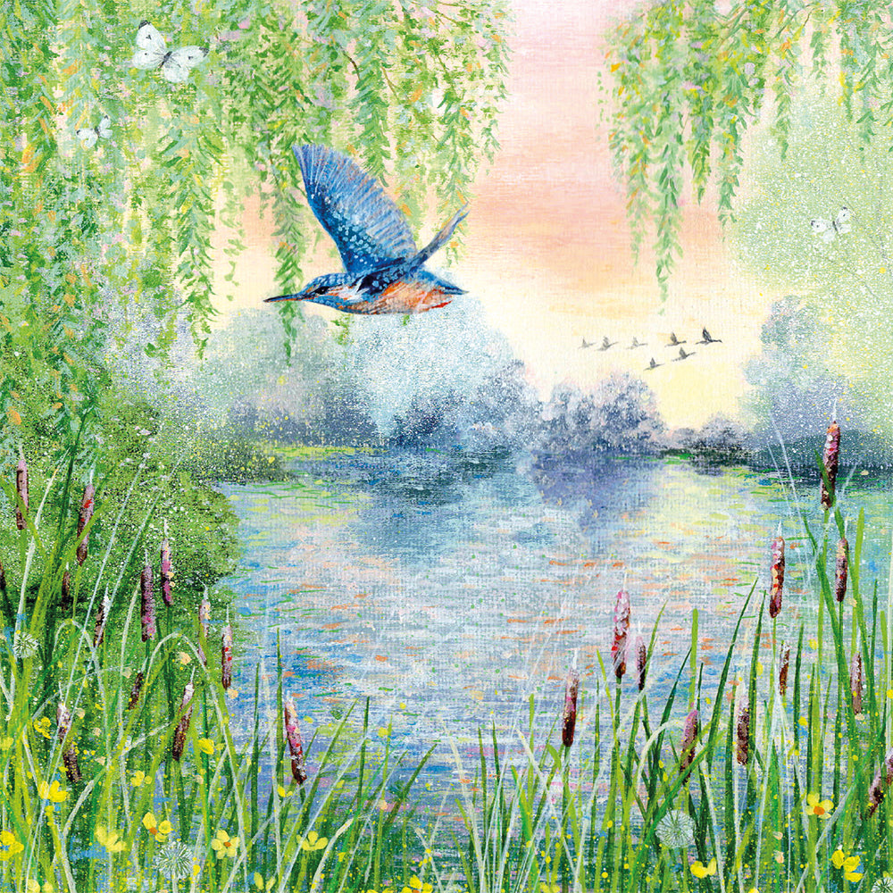 Coast and Country by Lucy Grossmith Box of 20 Notecards with Envelopes - Bee's Emporium