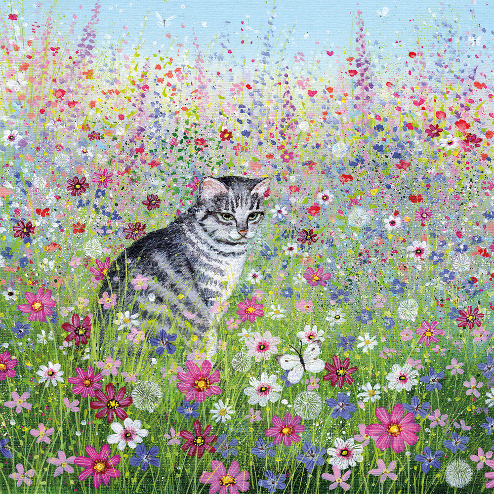 Coast and Country by Lucy Grossmith Box of 20 Notecards with Envelopes - Bee's Emporium