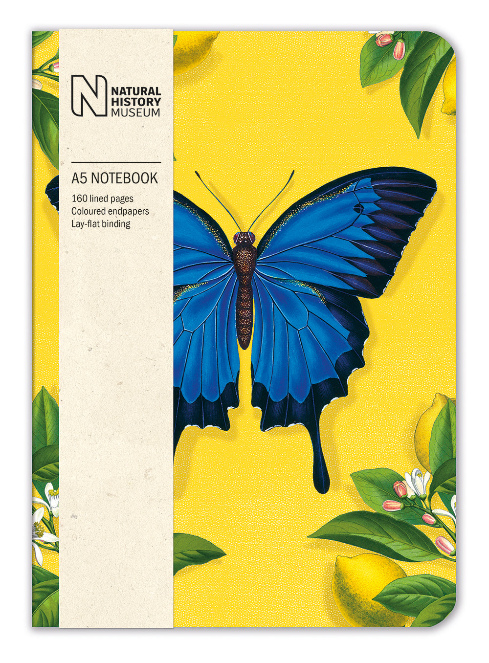 Natural History Museum Ulysses Butterfly A5 Notebook - Bee's Emporium