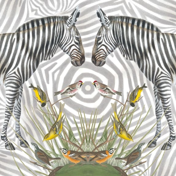 Natural History Museum Zebra Blank Greeting Card with Envelope