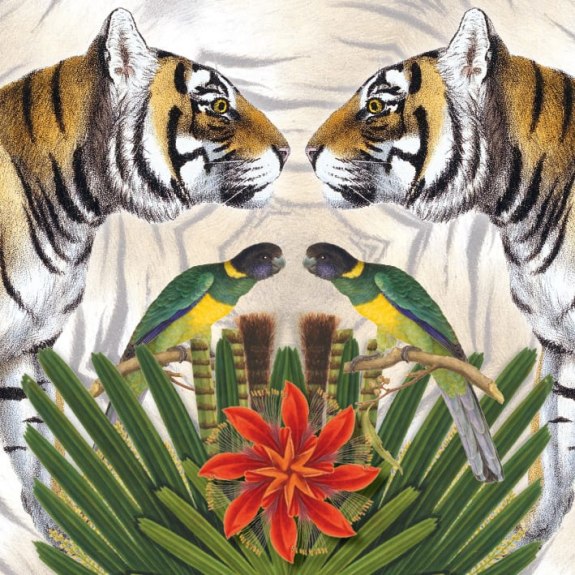 Natural History Museum Bengal Tiger Blank Greeting Card with Envelope - Bee's Emporium