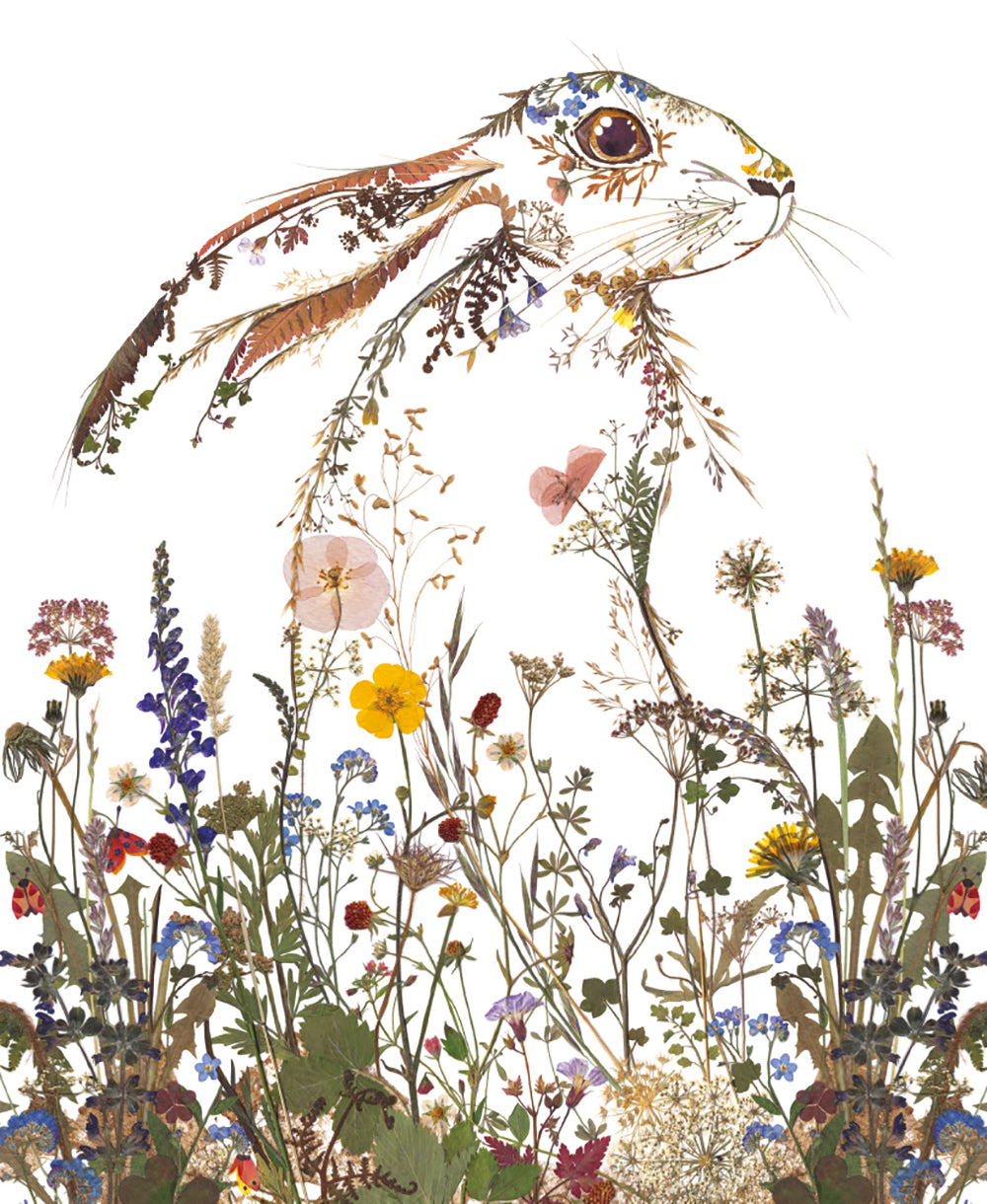Wild Press by Helen Ahpornsiri 8 Rectangle Notecards Wallet - Bee's Emporium