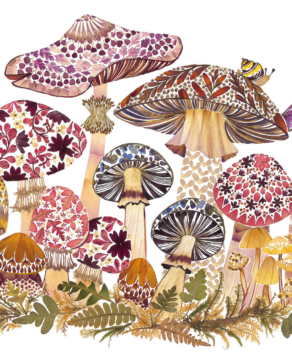 Wild Press - Fabulous Funghi Blank Greeting Card with Envelope - Bee's Emporium