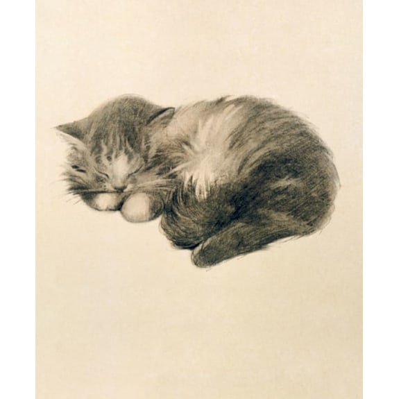 V&A Persian Kitten Blank Greeting Card with Envelope - Bee's Emporium
