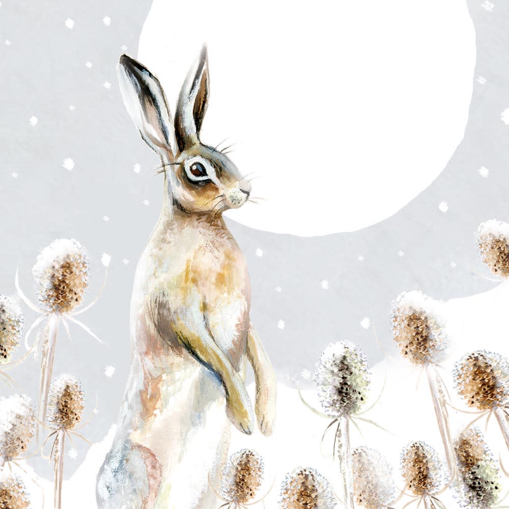 Snowy Paws Box of 20 Charity Christmas Cards - Bee's Emporium