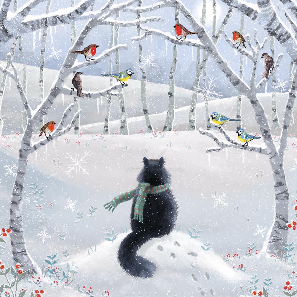 Snowy Paws Box of 20 Charity Christmas Cards - Bee's Emporium
