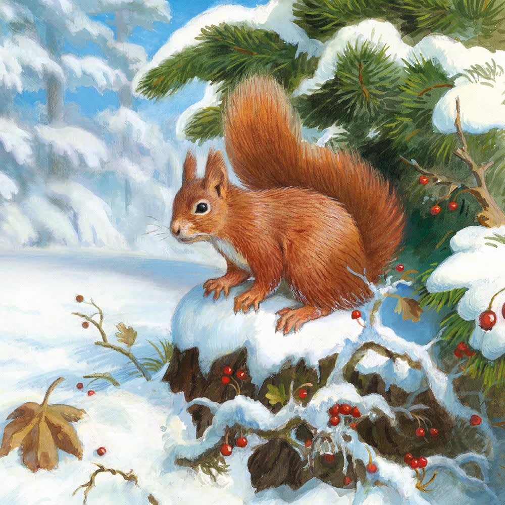 Snowy Paws Box of 20 Charity Christmas Cards - Bee's Emporium