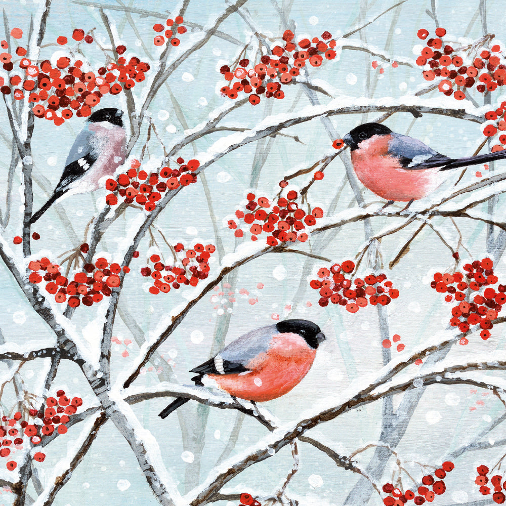 Animals and Winter Berries by Lucy Grossmith Box of 20 Charity Christmas Cards - Bee's Emporium