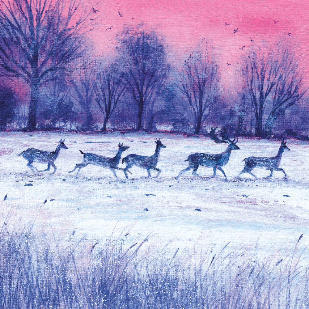 Dusk and Dawn by Lucy Grossmith Box of 20 Christmas Cards